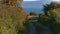 A  driveway between bushes leading towards a bay