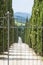 Driveway with Cypress Trees in Tuscany