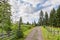 Driveway to the farm tree lined country road