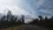 Driving along empty countryside road in Tasmania, Australia with gum trees and vegetation around