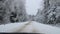 driving in a car on a snowy road in a winter forest