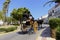 Driving carriages down a street in an Andalusian village