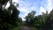 Driving on a country road in Guadeloupe, French west indies. Lesser Antilles