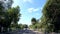 Driving on a country road surrounded by tropical vegetation in Guadeloupe