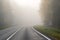 Driving on countryside road in fog. Illustration of dangers of d