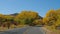 Driving On An Empty Road On Sunny Autumn Day With Bright Yellow Colors On Trees