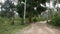 Driving on an empty road in Zanzibar