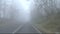 Driving on a foggy mountain road slow motion SF