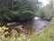 Driving in the Gandy Creek Tourist Area