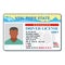 Driving license for new york icon, flat style.