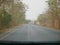 Driving through mixed deciduous forest, typical scenery seen during a long drive in Thailand - driver`s perspective / point of