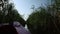 Driving Through Narrow Canal Surrounded By Lush Foliage With Boat In Foreground Light Shines Through