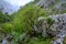 Driving narrow mountain road from Los Arenas to remote mountain village Sotres, Picos de Europa mountains, Asturias, North of