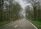 Driving POV through scary forest snowing