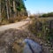 Driving puddle and a track from the car wheel next to the road against the background of the forest