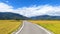 Driving through the road of full ripen golden rice paddy in autumn