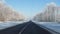 Driving On The Road On A Winter Snowy Day Through The Forest