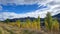 Driving through a sheep farm station in the highlands of the Southern alps