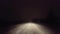 Driving in Snow Blizzard on Rural Road at Night.  Driver Point of View POV Thick and Heavy Storm Snowing and Snowflakes