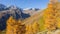 Driving to Gavia mountain pass in Italy. Amazing view of the wood and meadows during fall time. Warm colors. General fall contest