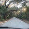 Driving through a tree tunnel in northeast Florida