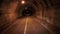 Driving through the tunnel road. POV. Darkness gloomy. Vertigo effect. Horror scene.