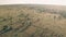 Driving on wildlife safari vacation in Kenya, Africa. Static high aerial drone v