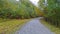 Driving Winding Road in Mountains through Forest