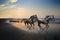 Droid horses running on the beach