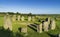 Dromberg Megalithic Circle, also known as the Druid`s Alta.