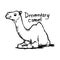 Dromedary camel sitting on the sand - vector illustration sketch