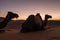 Dromedary camels sitting on sand in desert against sky during sunset