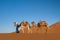 Dromedary caravan with nomad in the Sahara Desert Morocco