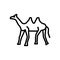 Dromedary icon vector isolated on white background, Dromedary sign