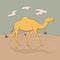 Dromedary, one-humped camel in full growth goes in desert, sketch vector graphics color picture