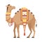 Dromedary, One Humped Camel with Saddle Decorated with Ethnic Ornament Vector Illustration