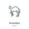 Dromedary outline vector icon. Thin line black dromedary icon, flat vector simple element illustration from editable religion