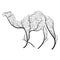 Dromedary stylized bushes on a white background for use as logos on cards, in printing, posters, invitations, web design and other