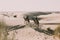 Dromedary with tourist in the thar desert