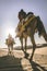 Dromedary with tourist in the thar desert