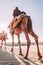 Dromedary with tourist in the thar desert