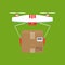 Dron delivers the parcel. The concept of fast, free delivery, gi