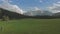 Drone aerial flight over green meadow with grazing cows in Dolomites Alps