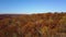 Drone Aerial over rolling hills and gold and amber forests, New England in fall