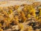 Drone Aerial photo of beautiful yellow Fall Autumn Aspen tree leaves