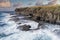 Drone aerial photograph of cows grazing at the coastal path inlet at Kiama