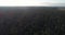 Drone aerial view beautiful forest in the morning at sunrise