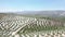 Drone aerial view of olive groves next to Baena