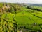 Drone aerial view on rice terraces in east Bali. Green rice fields with huts around and trees around. Rice fields and beautiful la