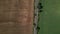 Drone aerial view of wheat harvest, wheat field background in the sun day